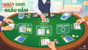 tim-hieu-ve-luat-choi-bai-ngau-ham